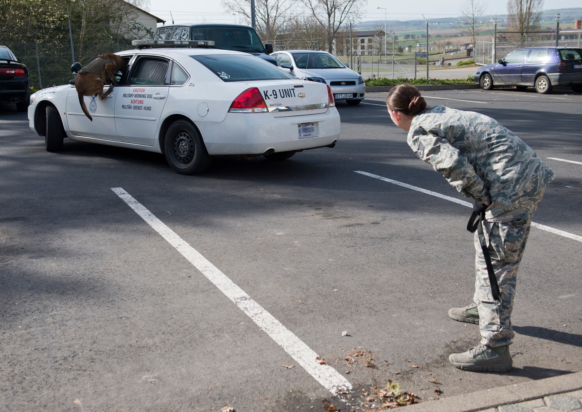 U.S. Air Force Staff Sgt. Shannon Hennessy, 52nd Security Forces Squadron military working dog handler from Colusa, Calif., sends her MWD Katya into a vehicle to subdue a suspect during a training session at the 52nd SFS dog kennel at Spangdahlem Air Base, Germany, March 19, 2014. MWDs can respond to several situations that may be more dangerous for their human counterparts, making them a force multiplier for the security forces community. (U.S. Air Force photo by Staff Sgt. Chad Warren/Released)