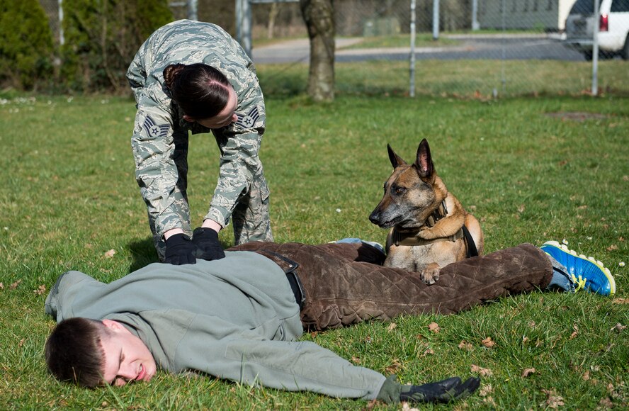 U.S. Air Force Staff Sgt. Shannon Hennessy, 52nd Security Forces Squadron military working dog handler from Colusa, Calif., searches a suspect as her MWD Katya provides security during a training session at the 52nd SFS dog kennel at Spangdahlem Air Base, Germany, March 19, 2014. MWDs can perform many of the same skills as a human partner, allowing handlers to accomplish the mission by themselves in situations that normally require two people. (U.S. Air Force photo by Staff Sgt. Chad Warren/Released)