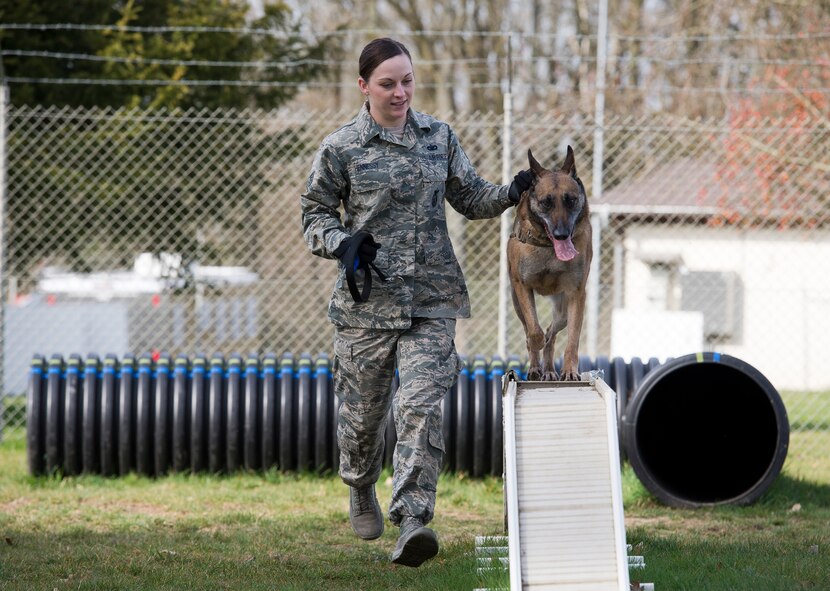 U.S. Air Force Staff Sgt. Shannon Hennessy, 52nd Security Forces Squadron military working dog handler from Colusa, Calif., runs through the obedience course with her MWD Katya at the 52nd SFS dog kennel at Spangdahlem Air Base, Germany, March 19, 2014. The obedience course is one of several training routines handlers and their K-9s perform to stay ready to deploy and perform the mission at a moment’s notice. (U.S. Air Force photo by Staff Sgt. Chad Warren/Released)