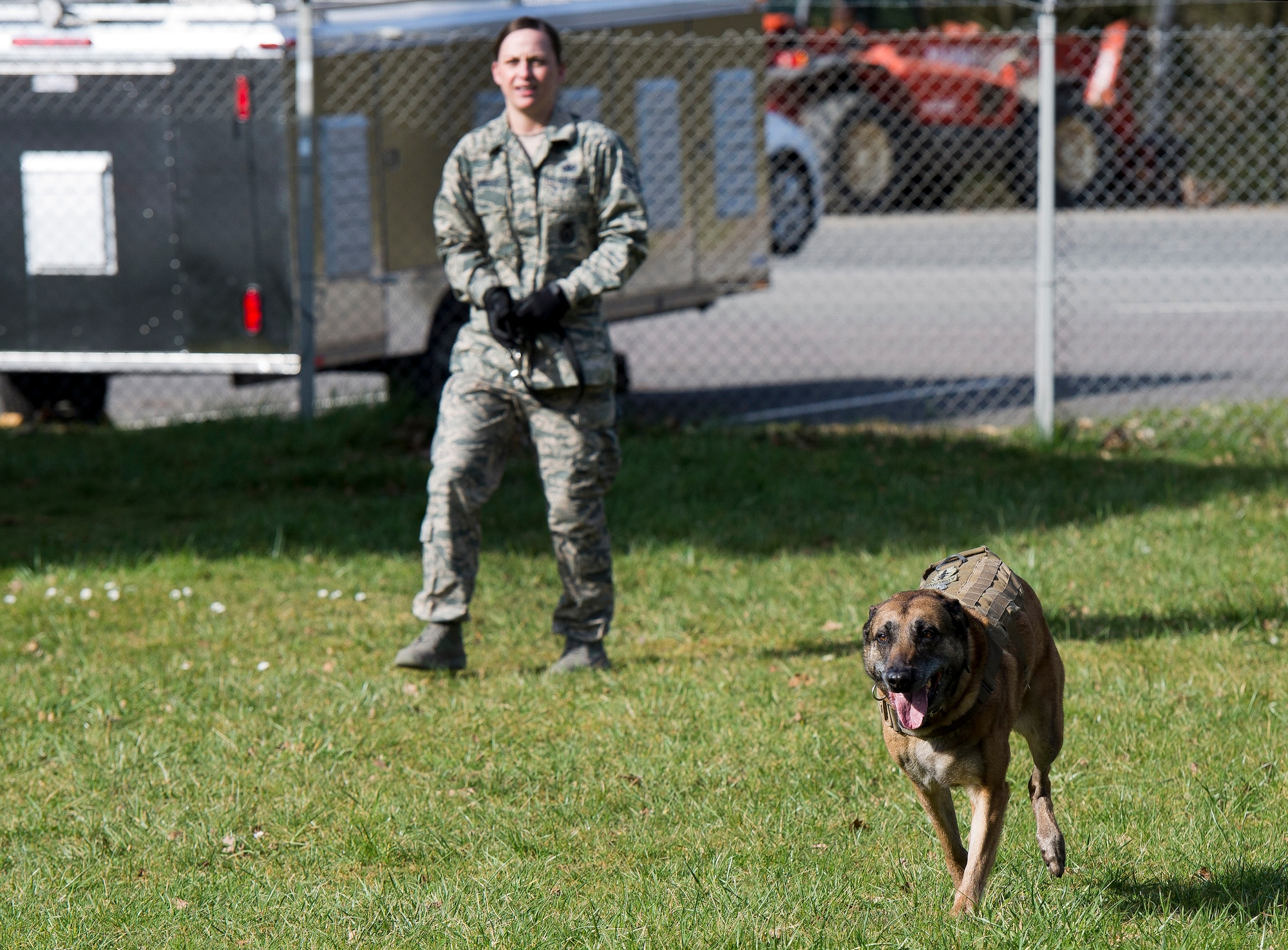 U.S. Air Force Staff Sgt. Shannon Hennessy, 52nd Security Forces Squadron military working dog handler from Colusa, Calif., shouts commands as her MWD Katya pursues a suspect during a training session at the 52nd SFS dog kennel at Spangdahlem Air Base, Germany, March 19, 2014. In addition to patrol work, Katya is proficient in explosives detection, which was her primary mission on their recent deployment. (U.S. Air Force photo by Staff Sgt. Chad Warren/Released)