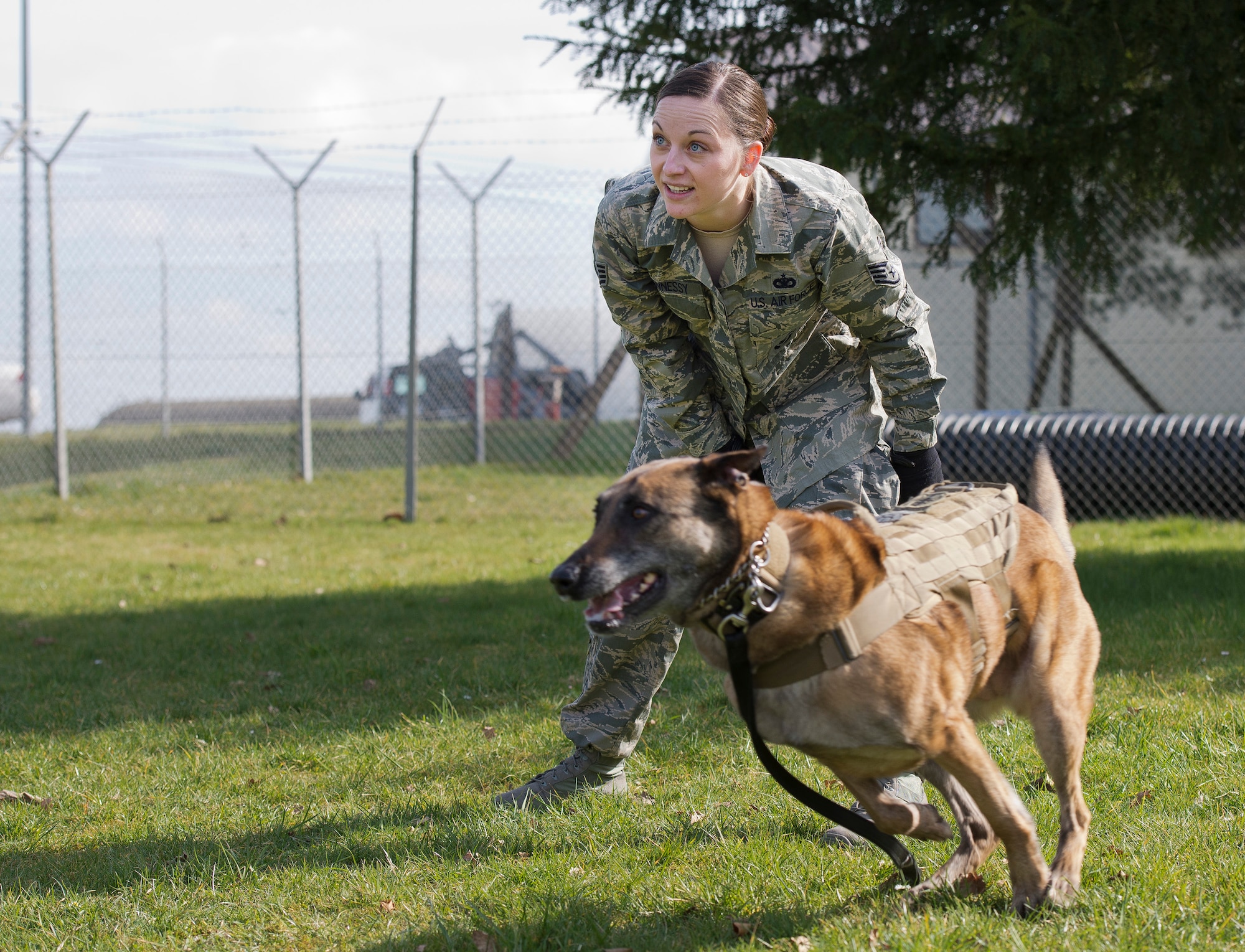 U.S. Air Force Staff Sgt. Shannon Hennessy, 52nd Security Forces Squadron military working dog handler from Colusa, Calif., releases her MWD Katya during a training session at the 52nd SFS dog kennel at Spangdahlem Air Base, Germany, March 19, 2014. Hennessy works with Katya daily on obedience, aggression and other tactics used in the line of duty. (U.S. Air Force photo by Staff Sgt. Chad Warren/Released)