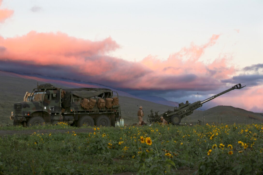 Artillery Marines prepare the M777 155 mm howitzer system for night-fire operations during Operation Spartan Fury 14.2 at Pohakuloa Training Area, Hawaii, March 15, 2014. The Marines are assigned to Bravo Battery, 1st Battalion, 12th Marine Regiment.