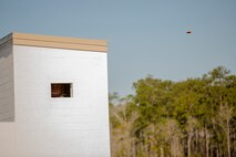A clay pigeon flies through the sky above the McIntyre Shooting Complex aboard Camp Lejeune, N.C., March 21, 2014. Spouses with 2nd Dental Battalion, 2nd Marine Logistics Group, II Marine Expeditionary Force, shot skeet and archery as part of their spouse meet and greet.  (U.S. Marine Corps photo by Lance Cpl. Shawn Valosin)