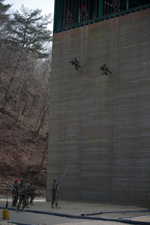 U.S. Marines rappel from a 50-foot tower Australian style under the supervision of Republic of Korea Marine instructors March 18 during the Mountain Warfare Training Course at the Mountain Warfare Training Center in Pohang, Republic of Korea. The U.S. Marines participating in the course are with III Marine Expeditionary Force and are in the Republic of Korea in support of the Marine Expeditionary Force Exercise 2014. MEFEX 14 is a tribute to the maturity of the ROK and U.S. relationship and exercises the interoperability and combined amphibious capability of the ROK and U.S Marine Corps. 