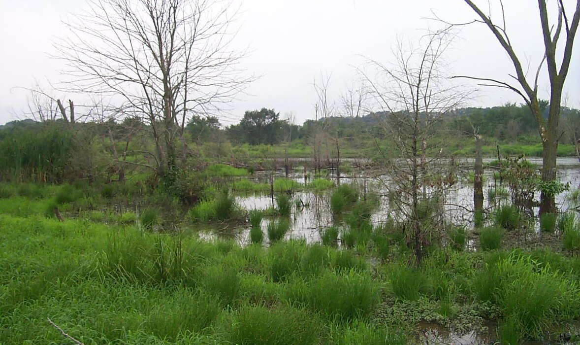 Waters of the U.S. Including Wetlands