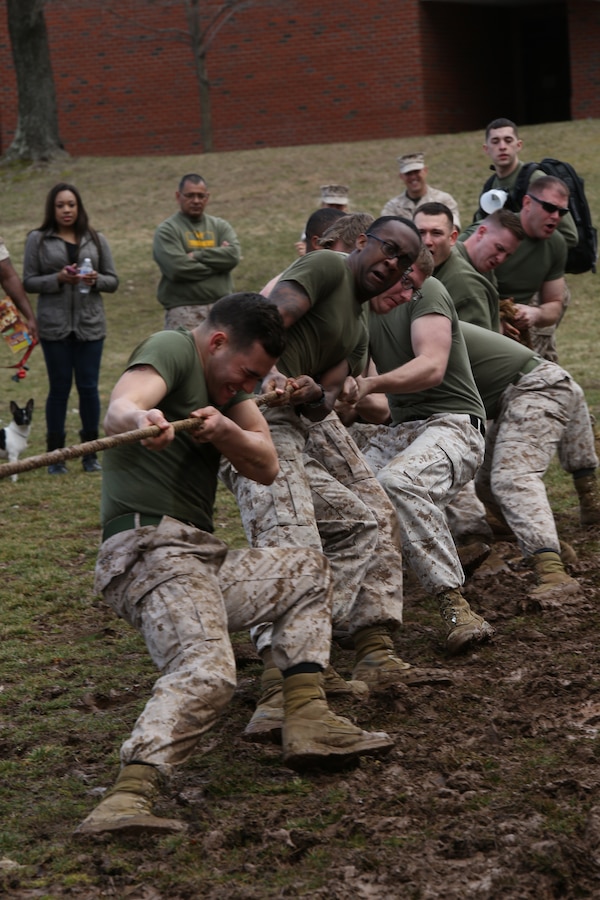 The Marines of Service Co., Headquarters and Service Bn., struggle to pull the rope back during the tug-of-war event of the Marine Corps Base Quantico base-wide field meet. Service Co. won the tug-of-war event which secured their overall victory for the meet. 