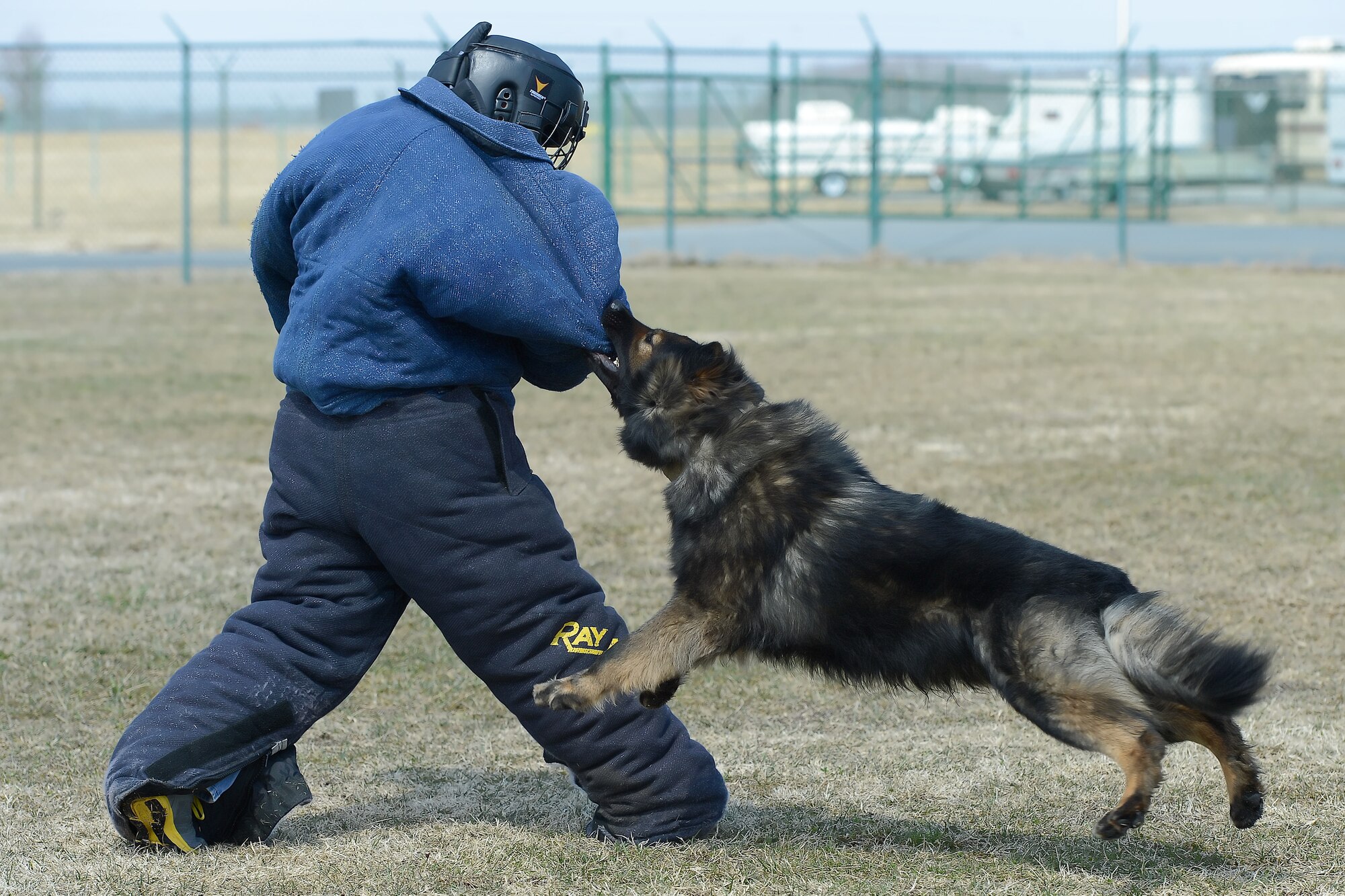 A military working dog from the 436th Security Forces Squadron is captured completely off the ground during a take-down of a Honorary Commander during a capabilities demonstration on March 21, 2014, at Dover Air Force Base, Del. The 2014 Dover Air Force Base, Del. Honorary Commander's took part in a tour of the 436th SFS facilities and got to see the dogs and kennels during their tour. (U.S. Air Force photo/Greg L. Davis) 
