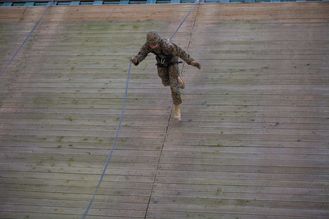 U.S. Marine Lance Cpl. Justin A. Green rappels down 50-foot tower March 18 during the first day of the three-day Mountain Warfare Training Course at the Mountain Warfare Training Center in Pohang, Republic of Korea. During the training, ROK Marines instructed U.S. Marines in Australian rappelling which is used as a military assault technique where the Marine faces down the descent and is positioned to fire a weapon downwards. Green is a field radio operator with 7th Communication Battalion, III Marine Expeditionary Force Headquarters Group, III MEF. (U.S. Marine Corps photo by Lance Cpl. Cedric R. Haller II/RELEASED)