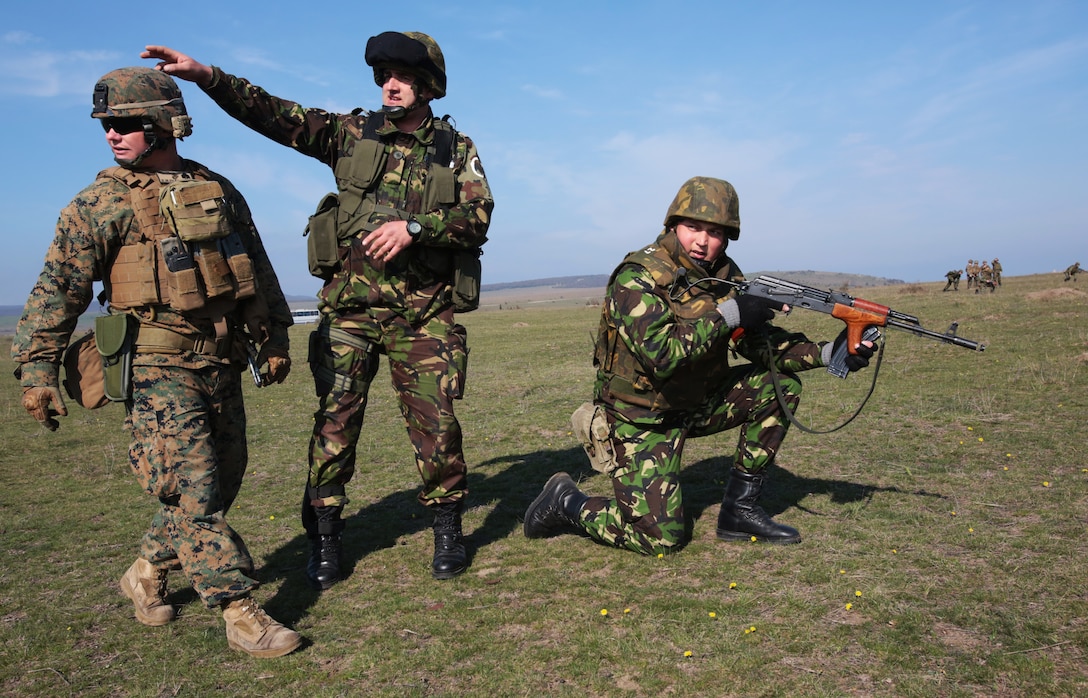 Captain Claudia Visan, company commander, Romanian 307th Naval Infantry, points out an area of interest to Sergeant Jason Tarleton, mortarman, weapons company, 3rd Battalion, 8th Marines, assigned to Black Sea Rotational Force 14 during a combined maneuver live fire exercise at Babadag Training Area, Romania, 26 March, 2014.  Black Sea Rotational Force 14 is a task force of Marines and sailors with the mission to sustain positive relationships with partner nations uphold regional stability and increase military operational capabilities while also proving the ability for rapid crisis response in the Black Sea, Balkan and Caucasus regions of Eastern Europe. (Official Marine Corps photo by Staff Sgt. Tanner M. Iskra, BSRF Combat Camera/Released)