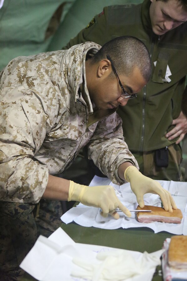 Seaman Marq C. Heusner, a Mililani, Hawaii native and hospital corpsman with 2nd Supply Battalion, Combat Logistics Regiment 25, 2nd Marine Logistics Group practices applying stitches under the supervision of 1st Lt. Egil A. Johanneson, a Bergen, Norway native and nurse with Host Nation Support Battalion during Cold Response 2014 at Elvegaardsmoen, Norway, March 14, 2014. Medical personnel from 2nd Supply Bn. and HNSB stayed with international forces to keep everyone safe and provide routine and emergency services before, during and after Cold Response. Cold Response 14 is a Norwegian-led multinational exercise above the Arctic Circle designed prepare for high-intensity cold-weather operations with nearly 16,000 troops from 16 different countries.