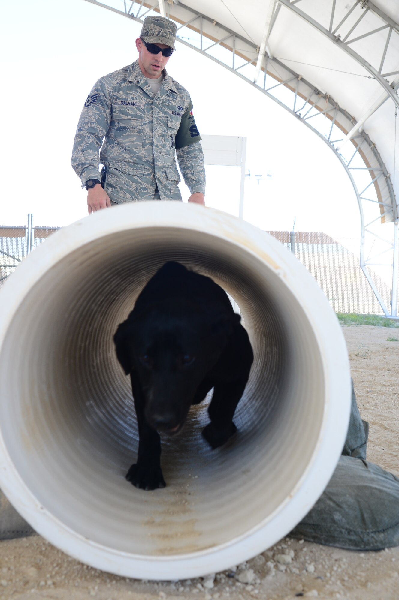 This week's Rock Solid Warrior is Staff Sgt. Jesse Galvan. Galvan is a Military Working Dog Handler assigned to the 386th Expeditionary Security Force Squadron. The Fort Worth Tx. native is deployed from the 72nd Security Force Squadron, Tinker  Air Force Base, Ok. (U.S. Air Force photo by Senior Airman Desiree W. Moye)