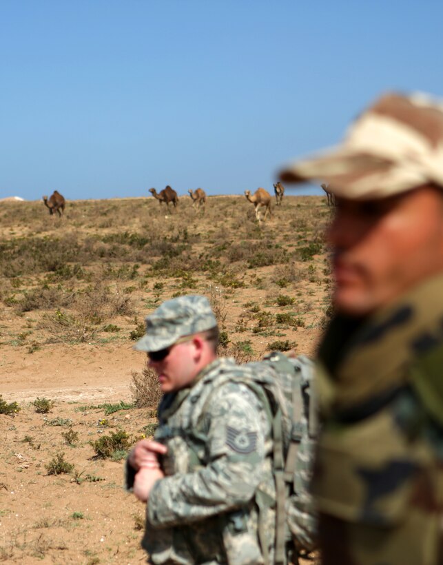 A multinational brigade of military policemen comprised Royal Moroccan soldiers, U.S. Marines, soldiers and airmen stage prior to walking to the designated training range for scheduled nonlethal weapons enforcement and escalation-of-force operations during African Lion 14 in Tifnit training area, Morocco March 30. Nonleathal weapons employment and escalation-of-force operations are an integral part of military operations to prevent the loss-of-life while maintaining civil disorder. During the evolution, Royal Moroccan Armed Forces soldiers, and U.S. military policemen from the Marines, Army and Air Force combined to refine a share their escalation-of-force tactics and procedures while building military partnerships and international friendships. 
