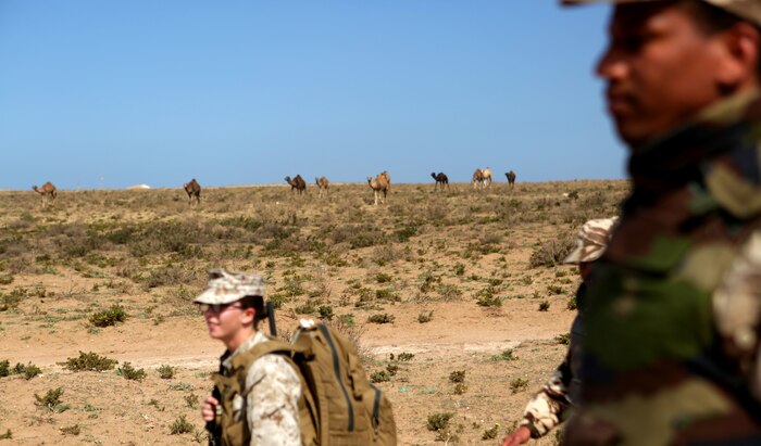 A multinational brigade of military policemen comprised Royal Moroccan soldiers, U.S. Marines, soldiers and airmen stage prior to walking to the designated training range for scheduled nonlethal weapons enforcement and escalation-of-force operations during African Lion 14 in Tifnit training area, Morocco March 30. Nonleathal weapons employment and escalation-of-force operations are an integral part of military operations to prevent the loss-of-life while maintaining civil disorder. During the evolution, Royal Moroccan Armed Forces soldiers, and U.S. military policemen from the Marines, Army and Air Force combined to refine a share their escalation-of-force tactics and procedures while building military partnerships and international friendships. 
