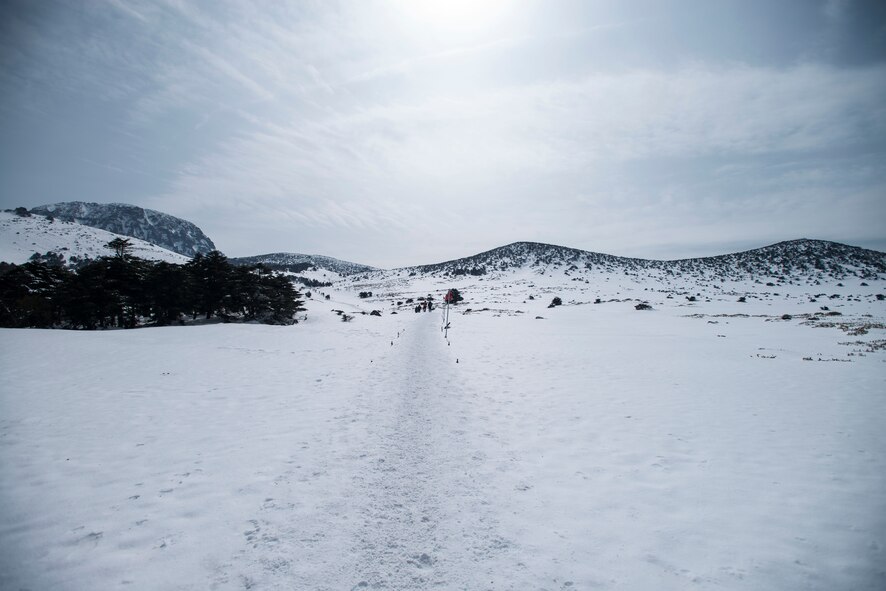 Travelers hike one of the trails up Hallasan Mountain March 9, 2014, in Jeju Island, Republic of Korea. A dormant volcanic crater, Hallasan Mountain is home to the oldest Buddhist Temple in Jeju. (U.S. Air Force photo by Staff Sgt. Jake Barreiro)