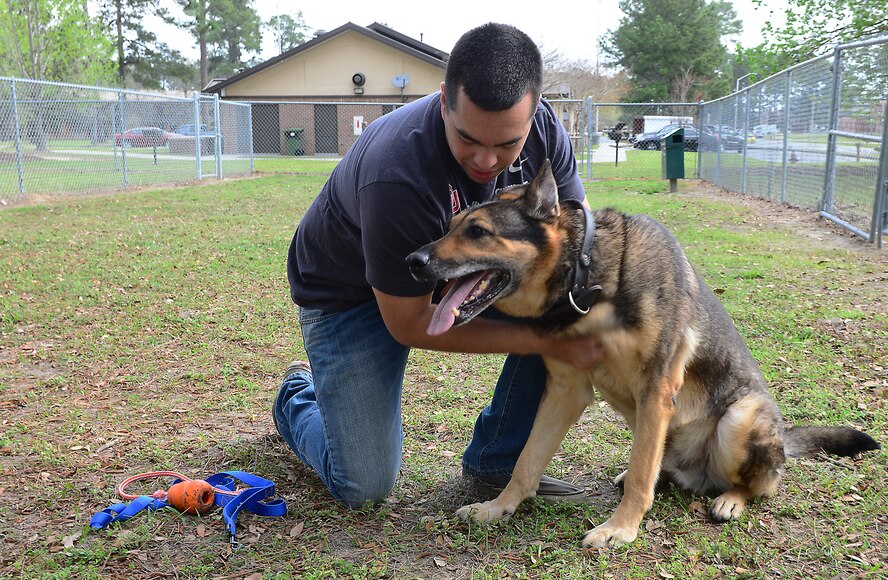 U.S. Air Force Staff Sgt. Devin Tiger, 23d Security Forces Squadron Military Working Dog handler, pets retired MWD Hal, at a dog run at Moody Air Force Base, Ga., March 28, 2014. Hal retired after 8 years of service to join Tiger’s family. (U.S. Air Force photo by Senior Airman Tiffany M. Grigg/Released)  