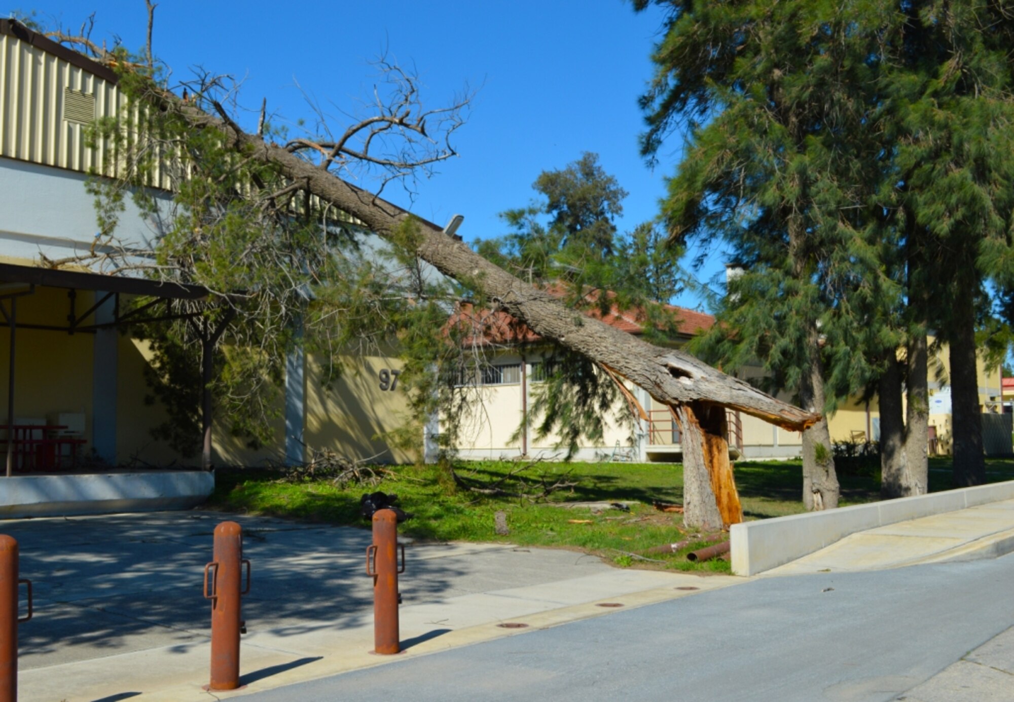 A pine tree rests on the back of an Army Air Force Exchange Services facility March 30, 2014, Incirlik Air Base, Turkey. The tree was blown over by heavy winds that gusted up to nearly 60 mph as they blew across regions of Turkey Saturday night and Sunday morning. (U.S. Air Force photo by 1st Lt. David Liapis/Released)