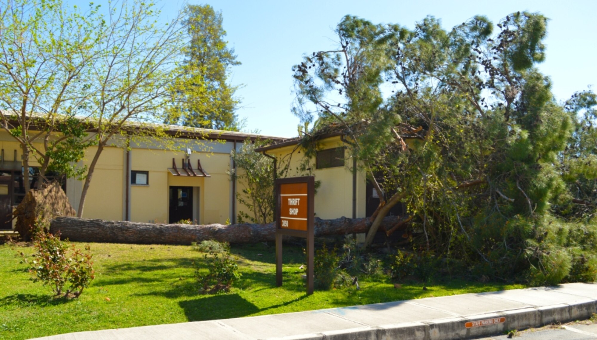 A pine tree lies next to Incirlik’s Thrift Shop March 30, 2014, Incirlik Air Base, Turkey. The evergreen was uprooted by heavy winds that gusted up to nearly 60 mph as they blew across regions of Turkey Saturday night and Sunday morning. (U.S. Air Force photo by 1st Lt. David Liapis/Released)