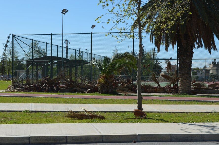 A tree and debris lies on the ground after a storm and high winds March 30, 2014, Incirlik Air Base, Turkey. The winds were at 28mph with gusts up 40mph. During the strongest part of the wind event, winds became 40mph with the highest gust reaching 57mph. (U.S. Air Force photo by 1st Lt. David Liapis/Released)