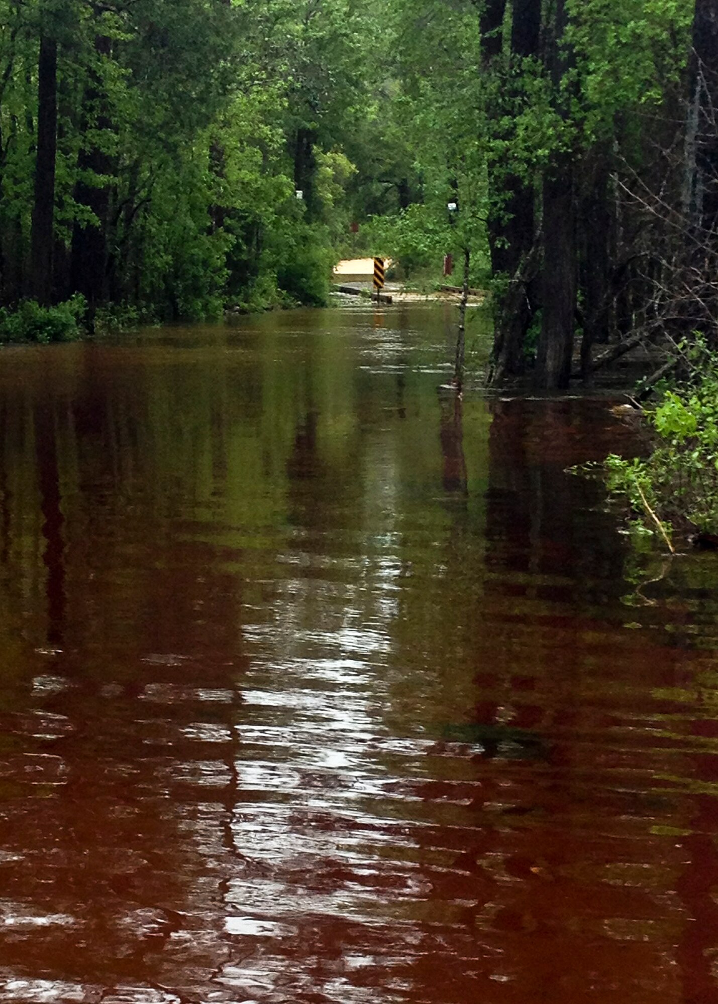 Flood waters cover a bridge and road on the range at Eglin Air Force Base, Fla., May 1.  Eglin was drenched with more than 10 inches of rain April 29-30 for a total of 18.28 inches for the month.  Most of the damage sustained on Eglin was to its miles of range roads.  (Courtesy photo)