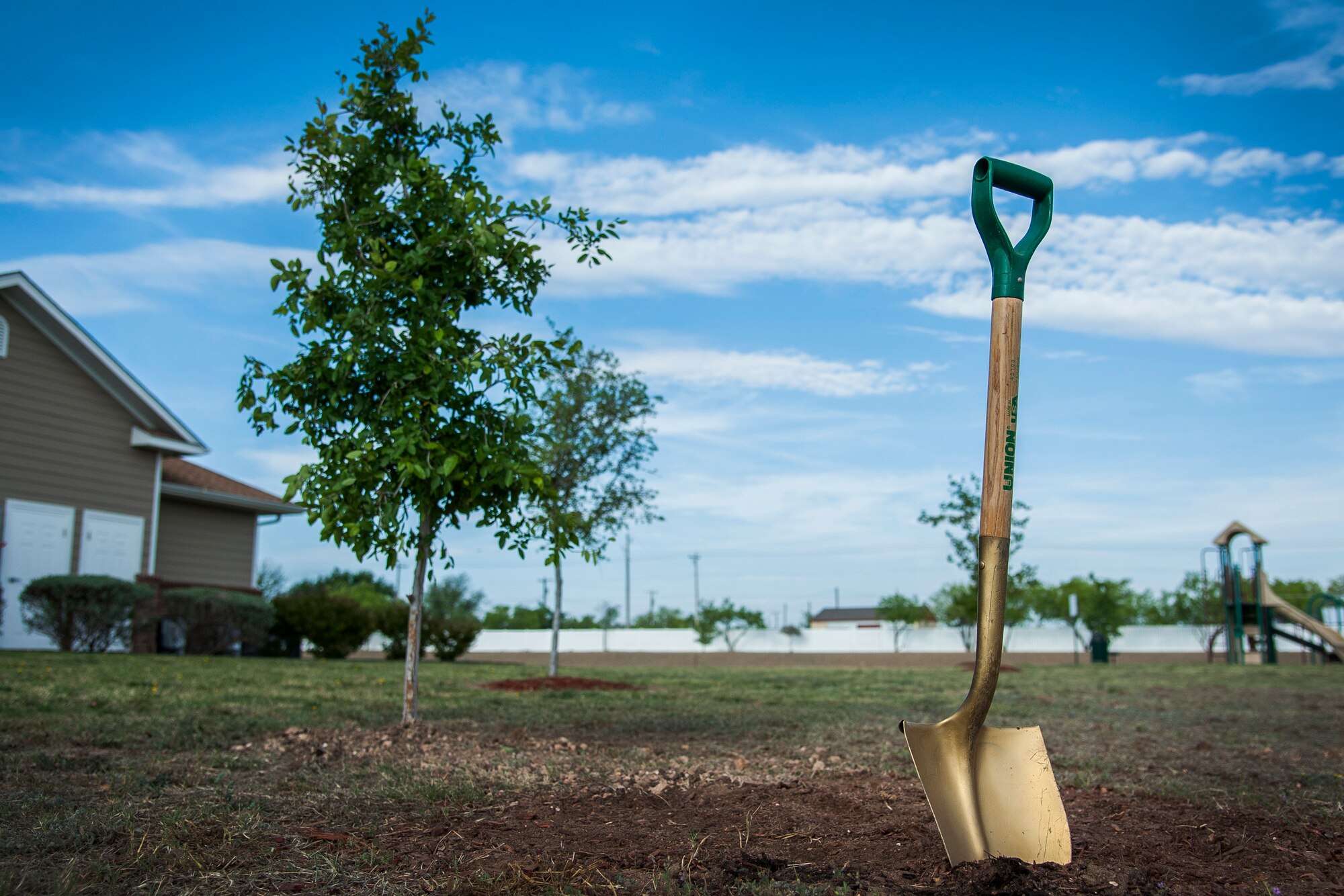 SAN ANGELO, Texas -- The newly planted cedar elm tree is located in off-base housing April 23. The 17th Mission Support Group planted this tree for Earth Week. (U.S. Air Force photo/Senior Airman Michael Smith)