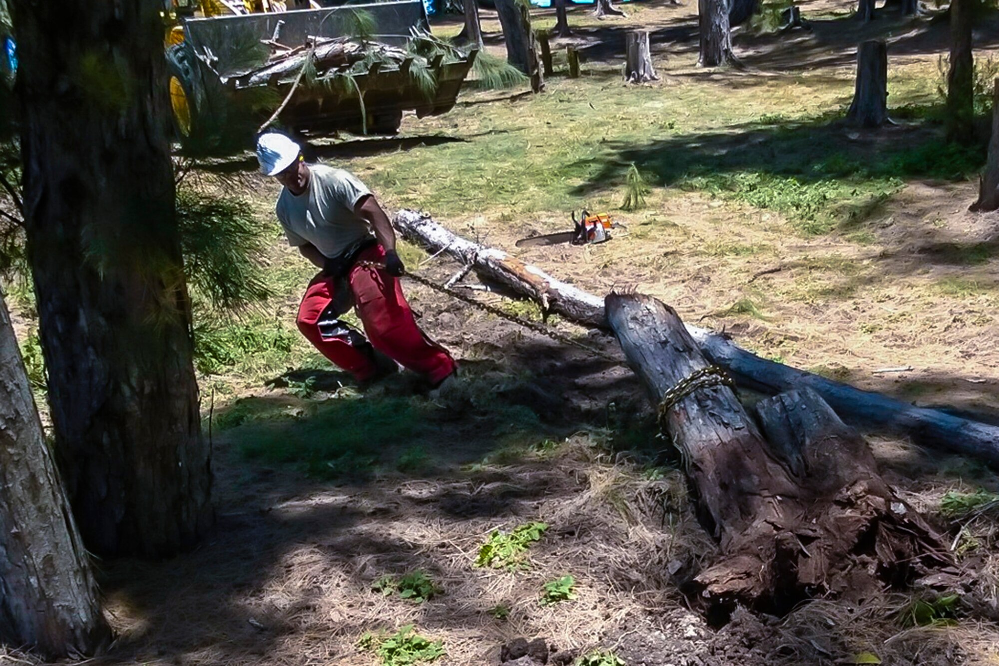 Staff Sgt. David Price, 446th Civil Engineer Squadron from Joint Base Lewis-McChord, Wash., helps remove an Iron Wood tree at Bellows Air Force Station, Hawaii, April 21. One of the squadron's duties during their annual tour is to help remove the large number of dying trees, which have been a huge safety concern. According to the city and county of Honolulu-Division of Urban Forestry, 50 or more people die a year from falling trees and branches in Hawaii. (Courtesy photo/Senior Master. Sgt. Nathan Wright)