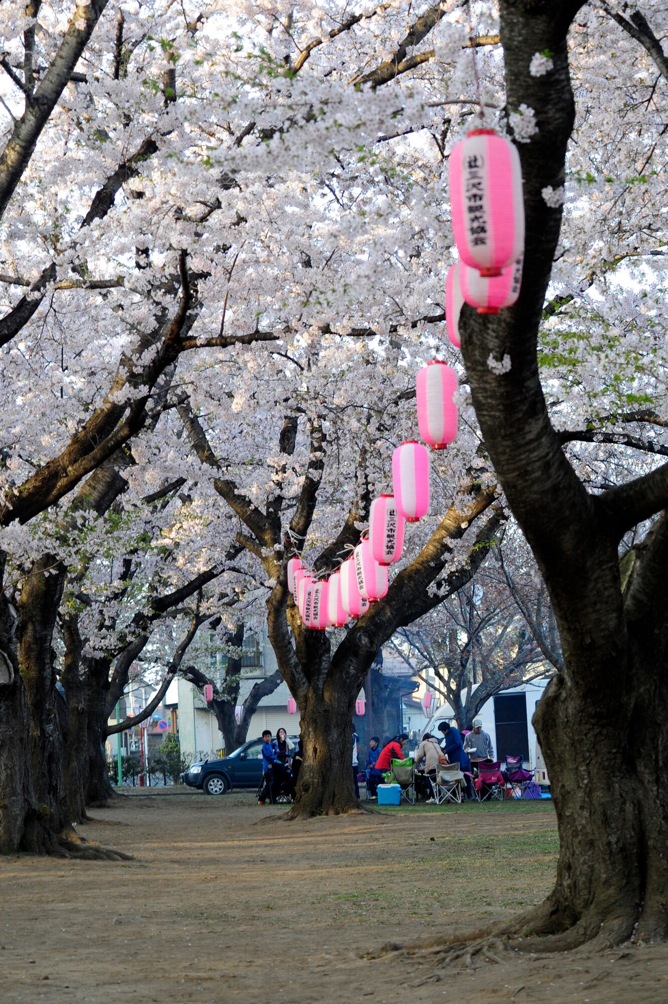 In a local park, hundreds of lanterns illuminate the branches of the cherry blossom trees in celebration of the blooming in Misawa City, Japan, April 29, 2014. You can enjoy this beautiful sight behind the Misawa community center, down the street from the main gate until May 6. (U.S. Air Force/Tech. Sgt. April Quintanilla)
