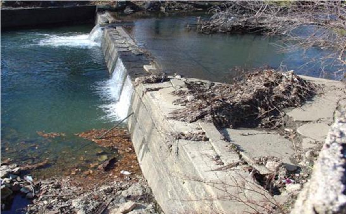The Woodland Avenue Dam is the first impediment along Cobbs Creek preventing fish passage. Stored sediment behind the dam must be controlled during removal to prevent adverse upstream impacts.
