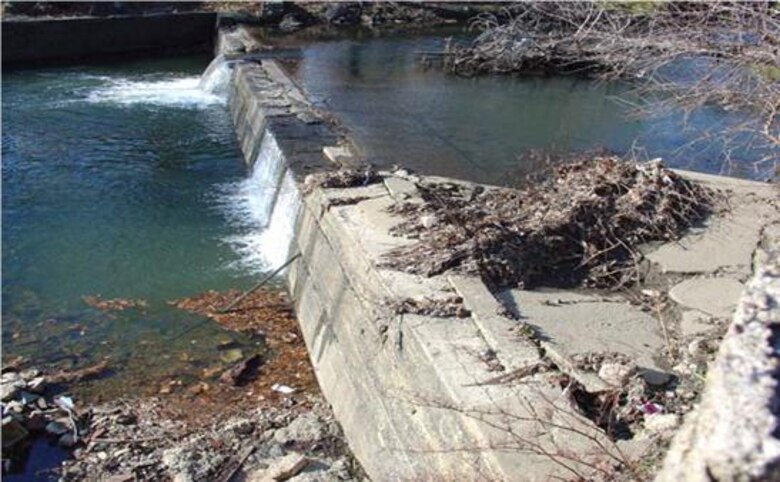 The Woodland Avenue Dam is the first impediment along Cobbs Creek preventing fish passage. Stored sediment behind the dam must be controlled during removal to prevent adverse upstream impacts.
