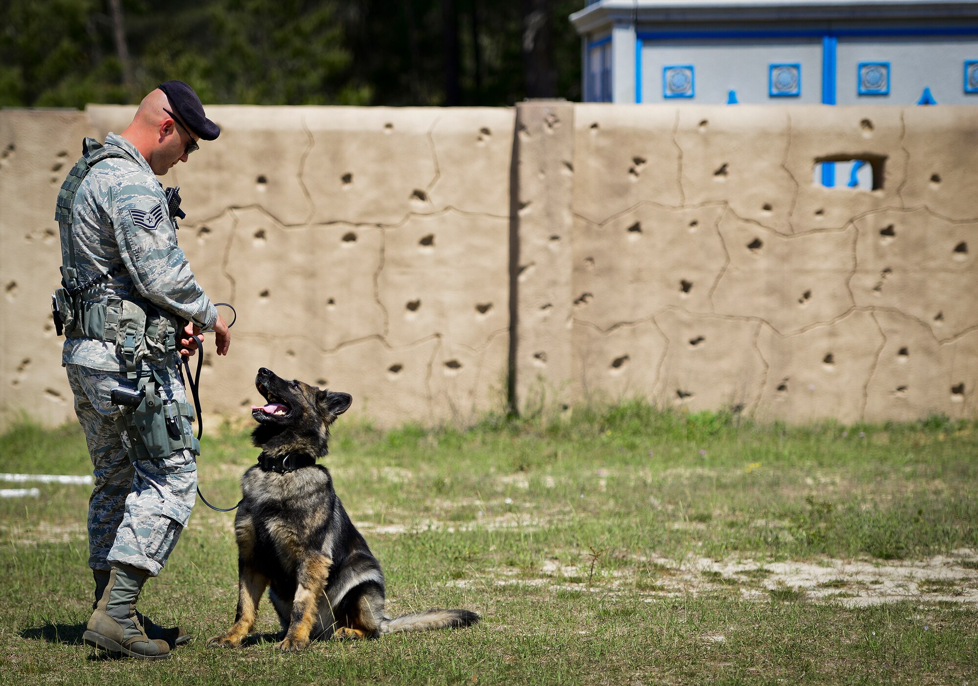 The 96th Security Forces Squadron’s Military Working Dog, Zuzu, waits for her handler, Staff Sgt. Jeffery Daum, to lead her into the next exercise during a demonstration at Eglin Air Force Base, Fla.  (U.S. Air Force photo/Samuel King Jr.)
