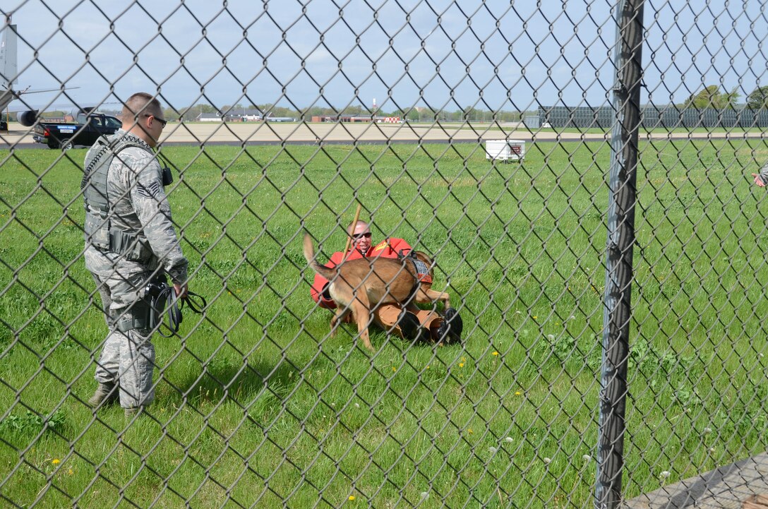 Breston, a military working dog for the 375th Security Forces Squadron
(SFS), attacks Staff Sgt. Bryan Dell, the 375 SFS kennel manager, during a
demonstration at the 126th Air Refueling Wing facilities at Scott Air Force
Base, Ill., April 28, 2014. K-9 units are a special section of the security
forces that is inclusive to the military working dogs (Air National photo by
Senior Airman Elise Stout).
