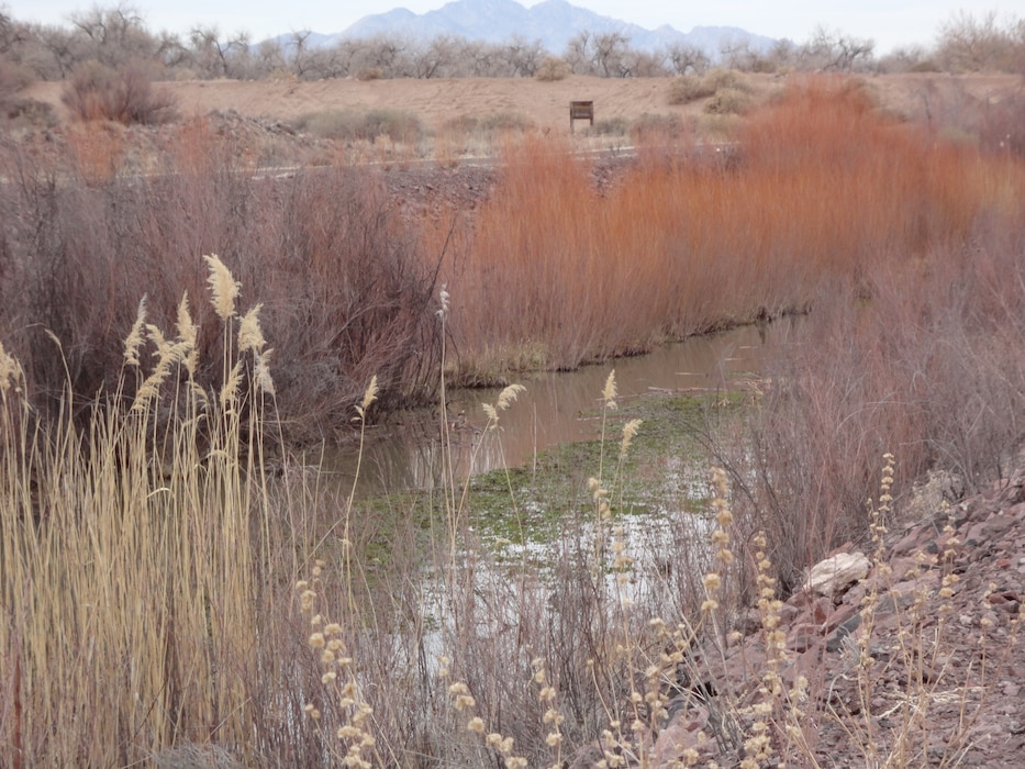 SOCCORO COUNTY, N.M., -- View of an irrigation channel near the San Acacia Levee. Taken on Sept. 23, 2012.
Photo by Gary Edwards.