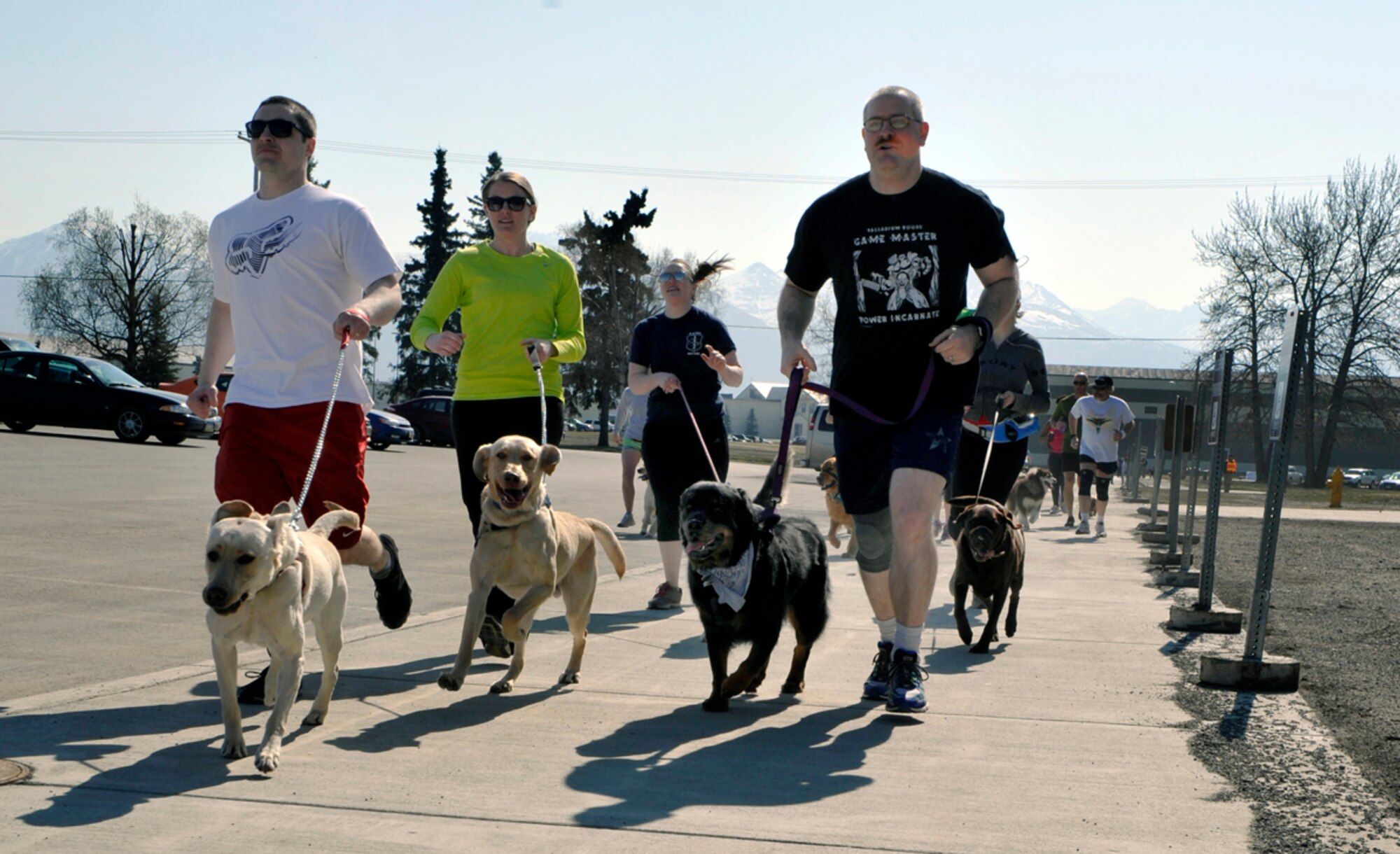 Military members and their families run with their dogs during the annual Pet Fun Run on Joint Base Elmendorf-Richardson, Alaska, May 3, 2014. Participants received a free T-shirt and biscuit for their pet before the race. (U.S. Air Force photo/Airman 1st Class Tammie Ramsouer)