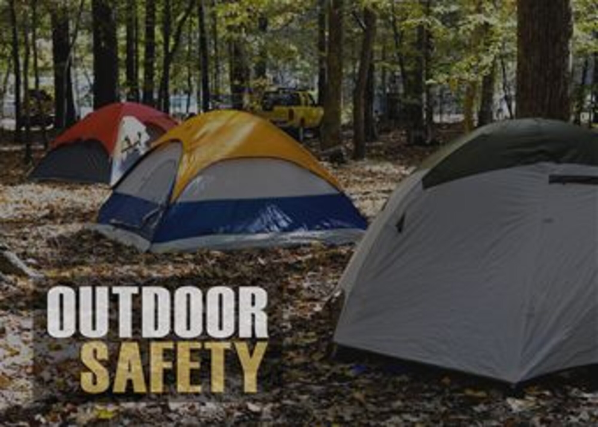 While outdoor adventure-seekers may only experience a few mosquito bites and a small rash from poison this summer, it is imperative for Joint Base Langley-Eustis community members to protect themselves during outdoor exercises or recreation.