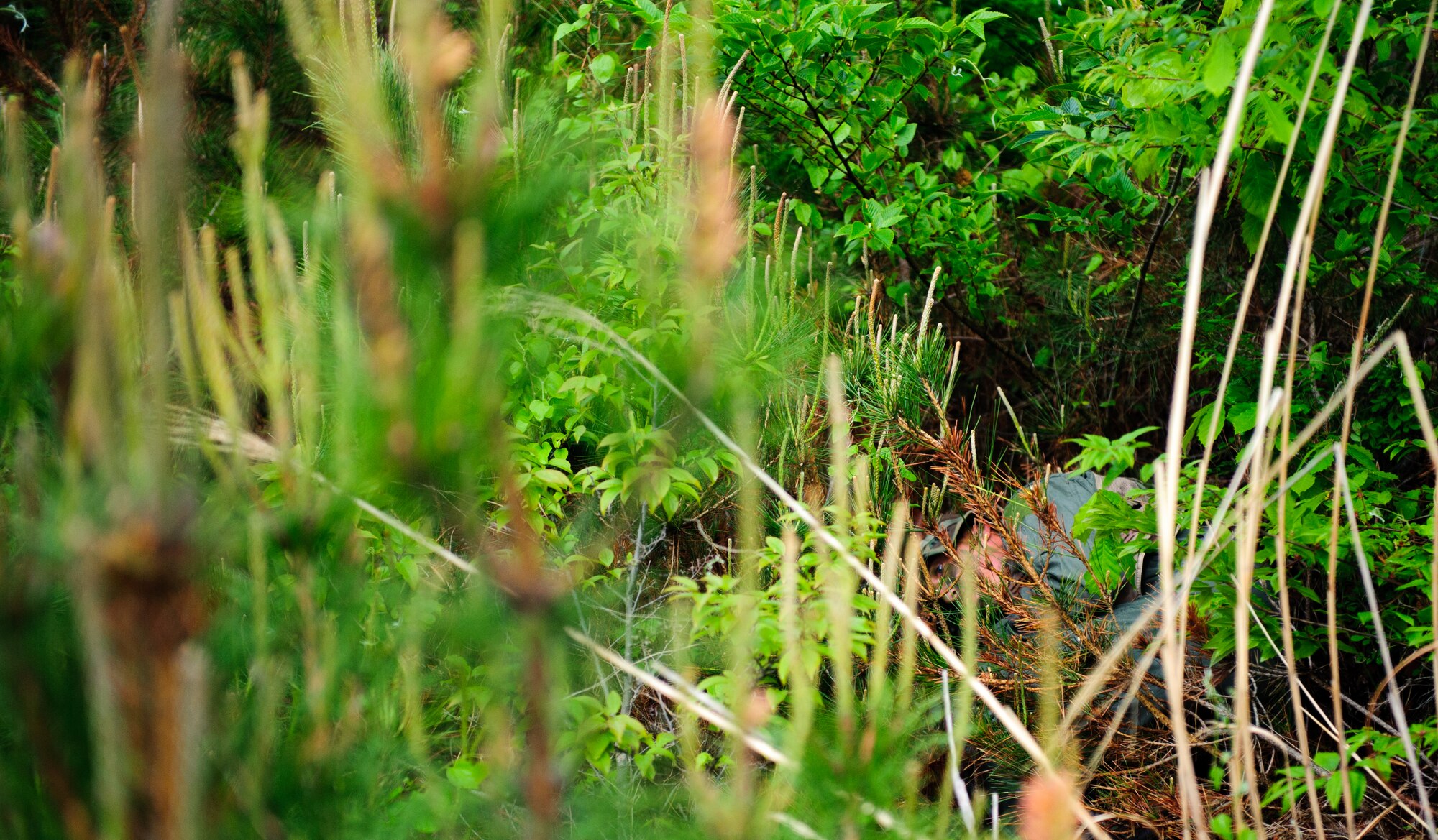 Tech. Sgt. Kurtis Douge, 8th Operations Support Squadron SERE specialist and weapons and tactics NCO in charge, shows proper concealment techniques during an exercise near Kunsan Air Base, Republic of Korea, April 28, 2014. Douge and the Survival, Evasion, Resistance and Escape sections trained pilots on procedures to evade adversaries and return to friendly forces in case they need to eject. (U.S. Air Force photos by Senior Airman Armando A. Schiwer-Morales/Released)