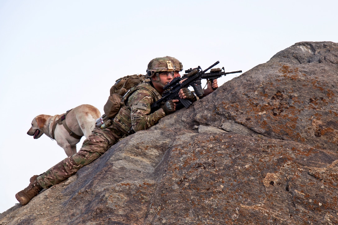 U.S. Army Staff Sgt. Sean Pabey, left, U.S. Army Sgt. James Carlberg and Army Staff Sgt. Abby, a military working dog, provide overwatch from the mountains of Maiden Shar in Afghanistan's Wardak province, Sept. 1, 2013. Pabey, a truck commander, and Carlberg, a military working dog handler, are assigned to Company A, 3rd Battalion, 15th Infantry Regiment.  
