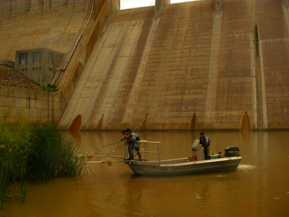 CONCHAS DAM, N.M., -- Electrofishing the Conchas Dam Stilling Basin. A small team from the District and the New Mexico Department of Game & Fish conducted a fish rescue June 21, 2012, in the lake’s stilling basin in anticipation of draining the stilling basin this summer for an inspection of the dam by the District’s Operations Division. Photo by Michael Porter.