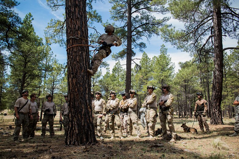 A U.S. Air Force pararescueman from the 58th Rescue Squadron (RQS) out of Nellis Air Force Base, Nev., performs tree let-down procedures May 5, 2014, at Camp Navajo, Ariz., in part of the Angel Thunder exercise. With not many trees to work with at Nellis, Airmen of the 58th RQS said Camp Navajo serves as a great place to conduct tree let-down training. (U.S. Air Force photo by Staff. Sgt. Jamal D. Sutter/Released) 