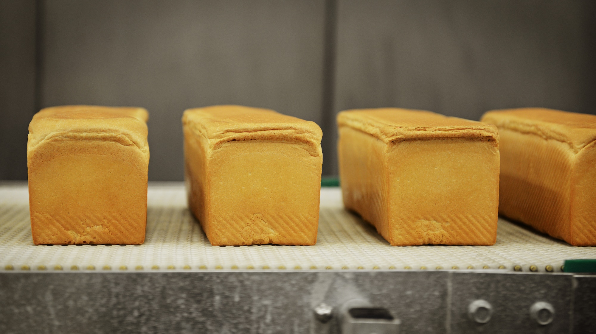 Bread rolls down the production line at the Army and Air Forces Exchange Service bakery plant in Gruenstadt, Germany April 30, 2014. The Gruenstadt facility is the central production location for more than 250 line items, as well as cold storage for 200 line items and even produces five million gallons of Culligan bottled water each year. The plant distributes to more than 100 locations in 25 countries and has been in business since 1953. (U.S. Air Force photo/ Staff Sgt. Ryan Crane)