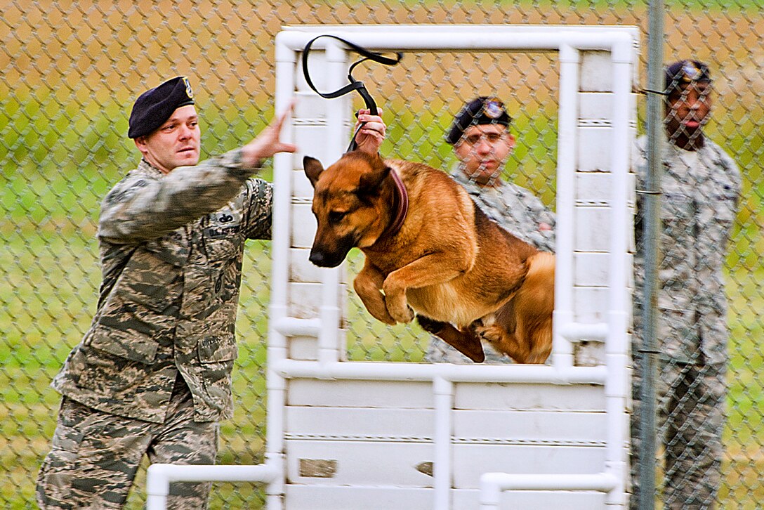 Air Force Staff Sgt. Rocky Thompson takes his military working dog, Aron, through a window obstacle during the K-9 competition on Minot Air Force Base, N.D., Aug. 14, 2013. Thompson, a military working dog handler, is assigned to the 319th Security Forces Squadron. 
