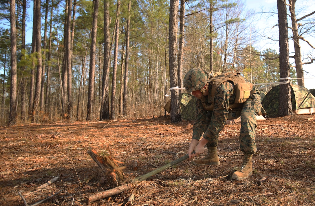 Lance Cpl. Devan M. Compton, a supply specialist with 2nd Tank Battalion, 2nd Marine Division, chops a block of wood to help create concealment for a fighting hole at the Combat Service Support Area in Ft. Pickett, Va., April 5, 2014. “In this occupation we are all about one shot, one kill. Out in public we can be that poster child in our Dress Blue uniform looking nice, but as a Marine, our ultimate job is to hit and kill the target,” said Staff Sgt. George Oliver, the Headquarters and Service Company gunnery sergeant.