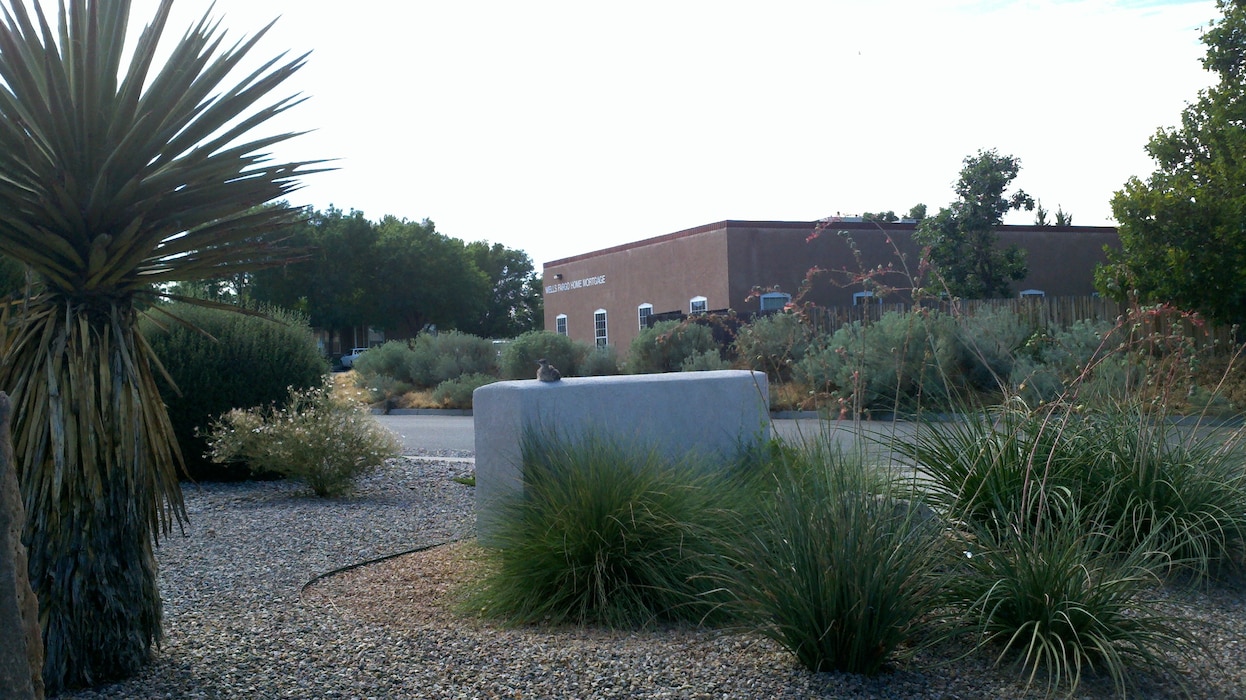 ALBUQUERQUE, N.M., -- The District roadrunner suns himself on the entrance sign at the Albuquerque District Office. Photo by Carlos Aragon, Aug. 18, 2011.