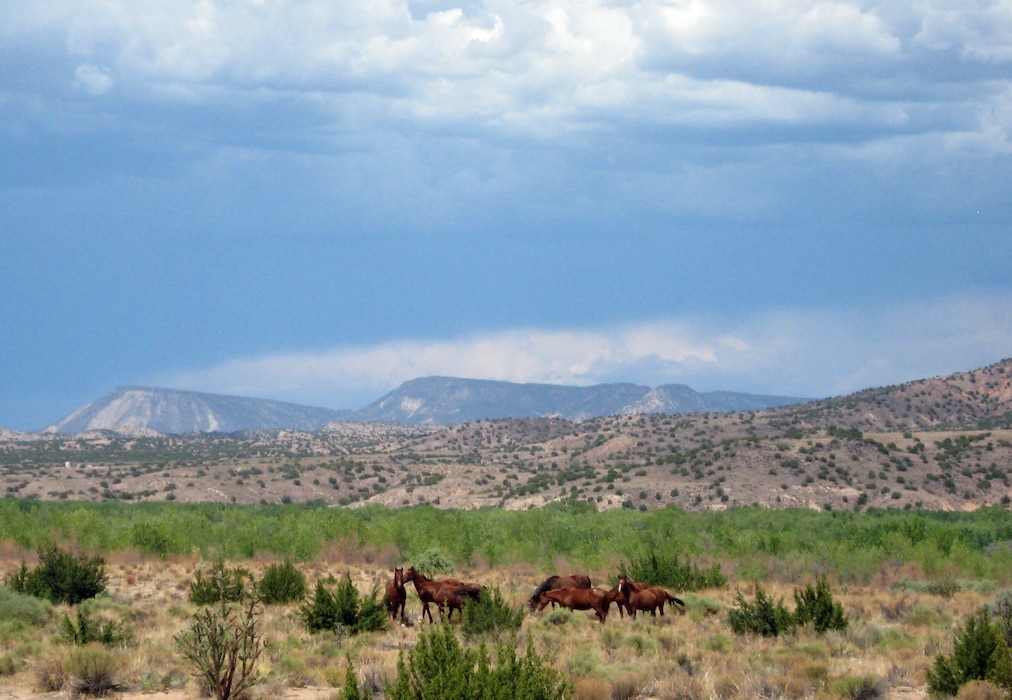 SANTA ANA PUEBLO, N.M., -- Horses near the Jemez weir on the Pueblo. Photo by Corinne O’Hara, Aug. 25, 2011.
