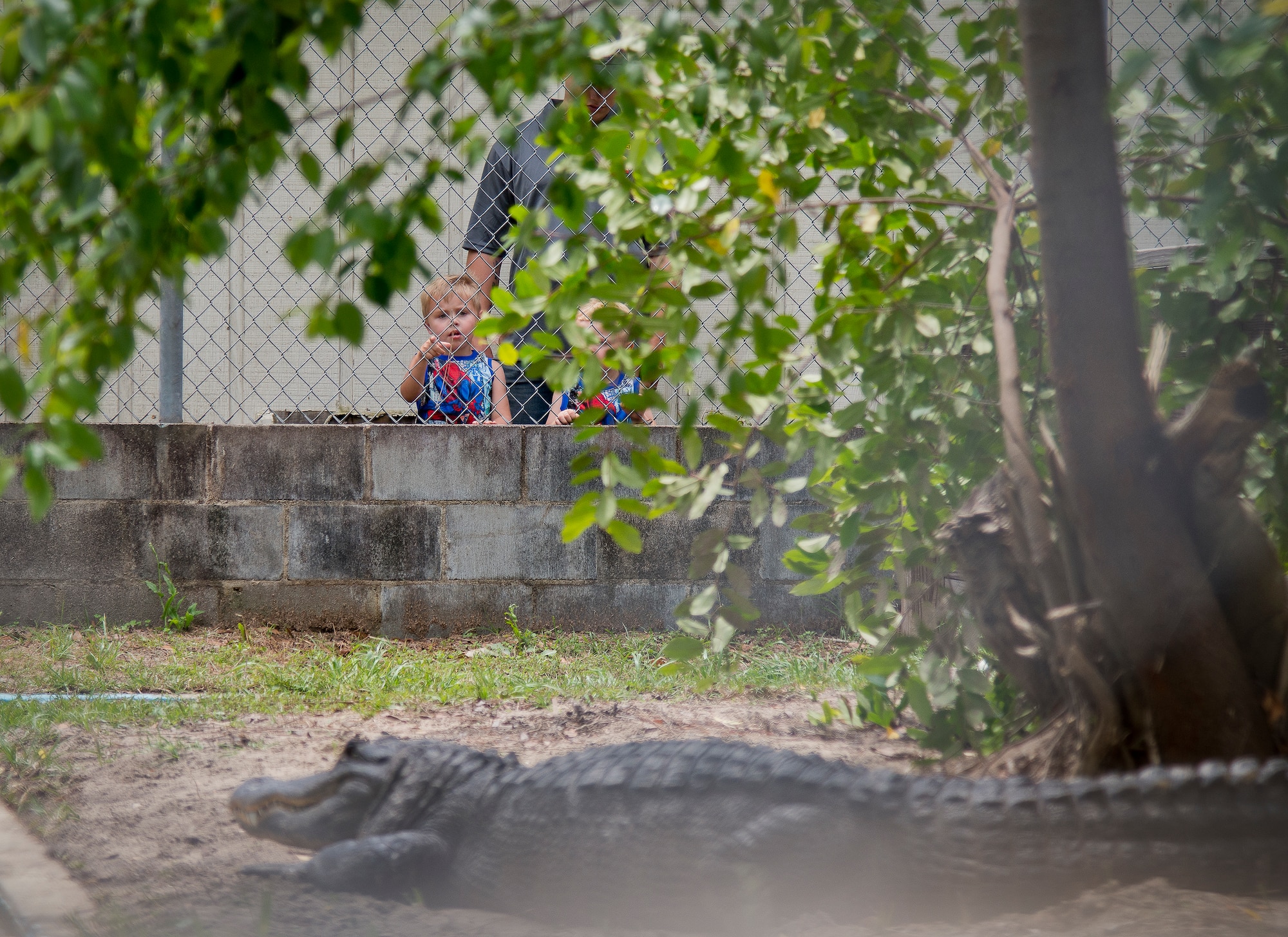 A 6th Ranger Training Battalion Open House attendee checks out the alligator farm May 10 at Eglin Air Force Base, Fla.  The event was a chance for the public to learn how Rangers train and operate. The event displays showed equipment, weapons, a reptile zoo, face painting and weapon firing among others. The demonstrations showed off hand-to-hand combat, a parachute jump, snake show, and Rangers in action.  (U.S. Air Force photo/Tech. Sgt. Sam King)