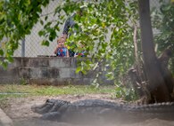 A 6th Ranger Training Battalion Open House attendee checks out the alligator farm May 10 at Eglin Air Force Base, Fla.  The event was a chance for the public to learn how Rangers train and operate. The event displays showed equipment, weapons, a reptile zoo, face painting and weapon firing among others. The demonstrations showed off hand-to-hand combat, a parachute jump, snake show, and Rangers in action.  (U.S. Air Force photo/Tech. Sgt. Sam King)