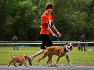 A 6th Ranger Training Battalion Open House attendee walks her bulldogs May 10 at Eglin Air Force Base, Fla.  (U.S. Air Force photo/Tech. Sgt. Sam King)