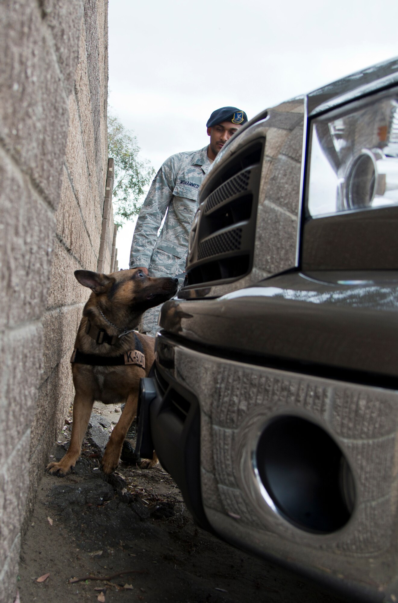 Staff Sgt. Zahir Mohammed, 60th SFS MWD handler, and Borat, 60th Security Forces Military Working Dog, search a vehicle for any explosives or narcotics during training on May 8. The pair will compete in both the detection and protection portion of the 2014 Defenders K9 Trials. (U.S. Air Force photo/Senior Airman Nicole Leidholm)