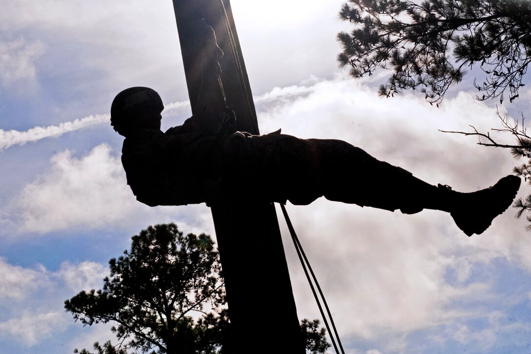 A soldier rappels from a 70-foot tower during training for air assault on Camp Blanding Joint Training Center, Fla., July 1, 2013. The soldier is a Florida National Guardsman.  
