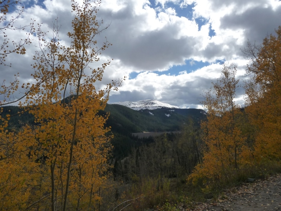 PLATORO RESERVOIR, COLO., -- Autumn Aspens with Conejos Peak in the background. Photo by John Peterson, Oct. 10, 2010.