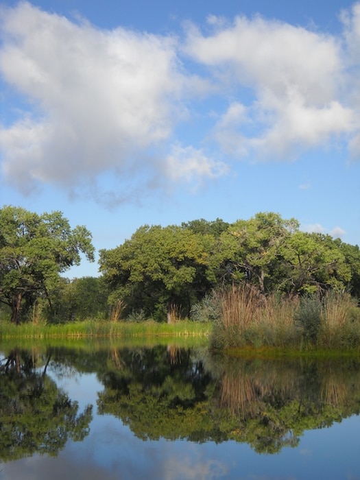 ALBUQUERQUE, N.M., -- The Albuquerque Tingley Ponds Deep Marsh is a wetland pond constructed for the Albuquerque Biological Park Tingley Pond and Wetland Restoration Project.  Photo by Greg Everhart, Sept. 23, 2010.