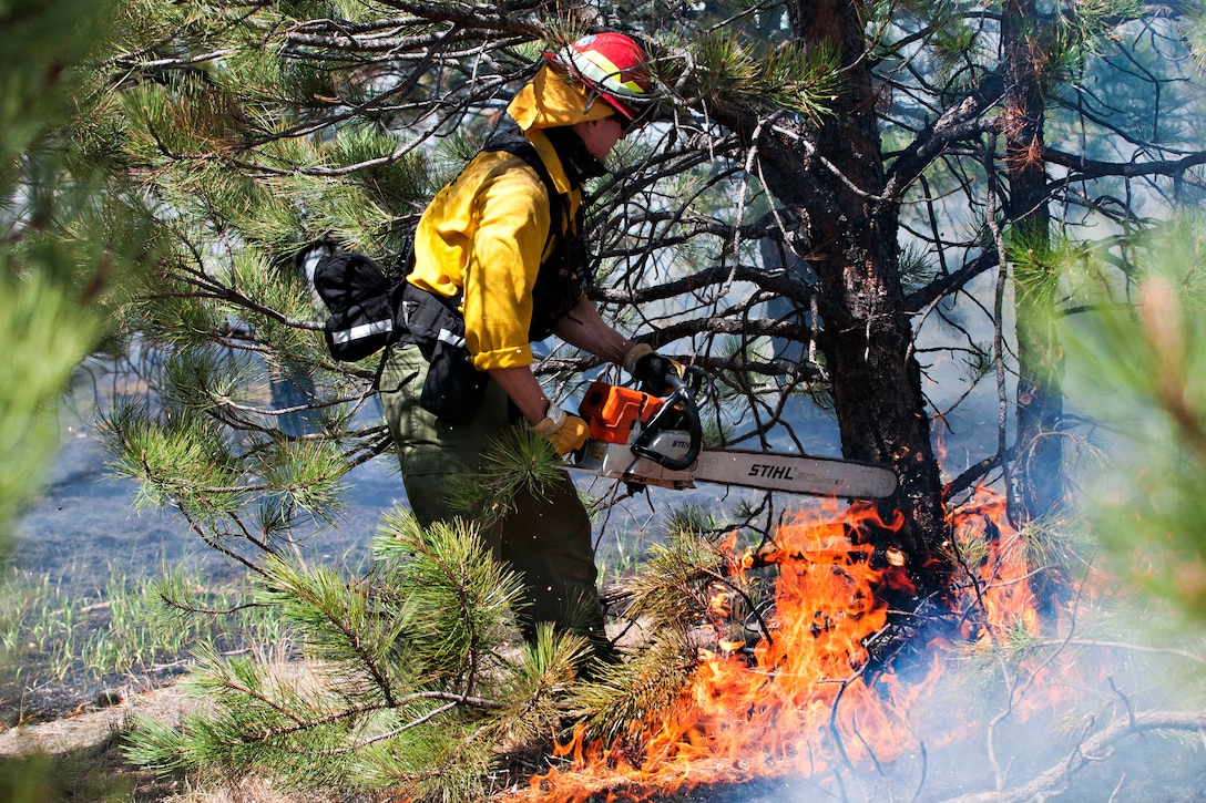 U.S. Air Force Academy firefighters cut down a tree in an attempt to control the spread of the Black Forest fire in Colorado Springs, Colo., June 12, 2013.  
